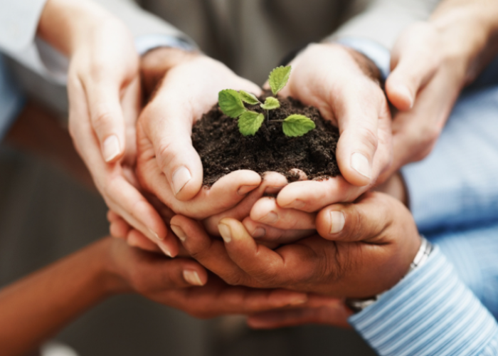 Screenshot 2022-10-25 122516